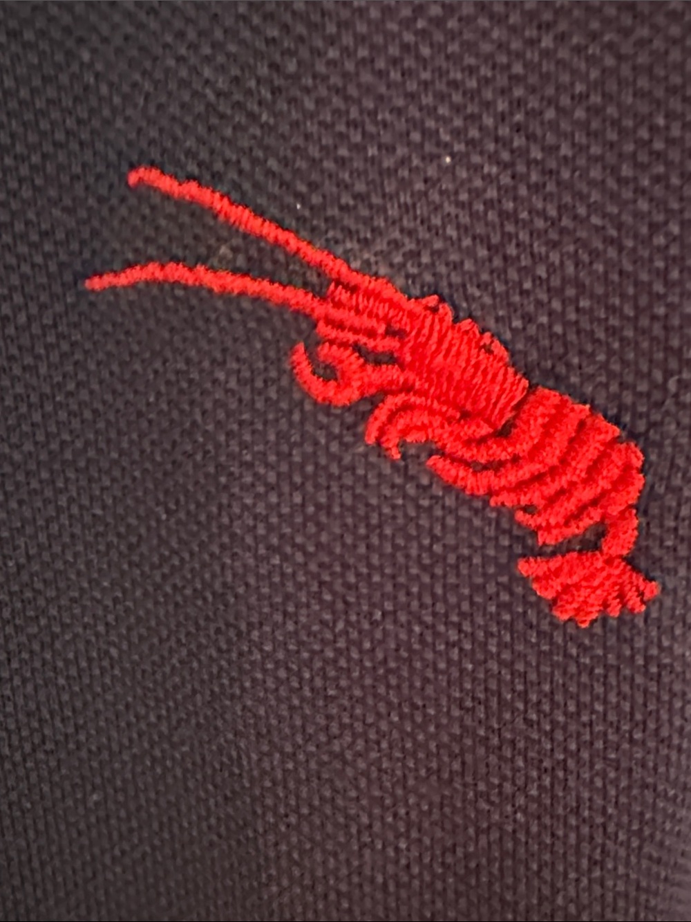 Polo by Ralph Lauren Embroidered Knit Oxford Shirt - Picture 9 of 16